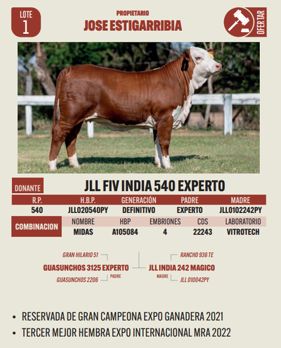 Lote LOTE 1