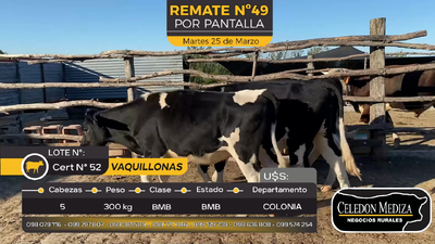 Lote 5 Vaquillonas  en Otra Localidad, Colonia