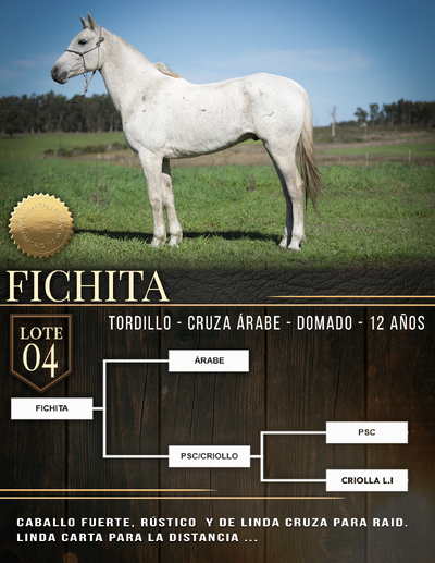  FICHITA