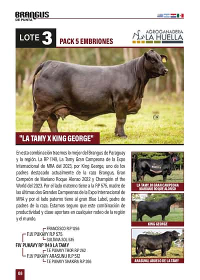 Lote "PACK 5 EMBRIONES ""LA TAMY X KING GEORGE"""
