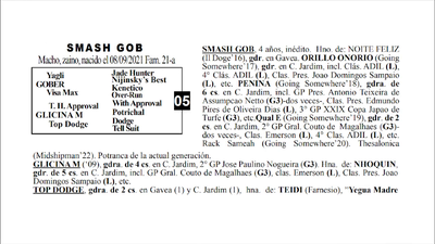 Lote SMASH GOB