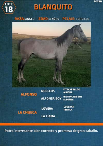Lote BLANQUITO