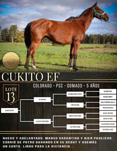  CUKITO EF