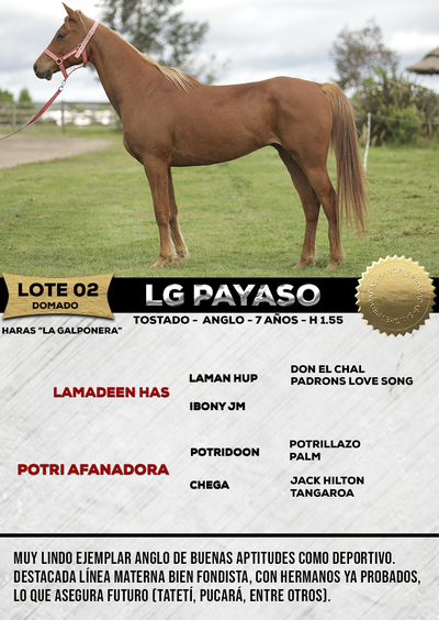 Lote LG PAYASO