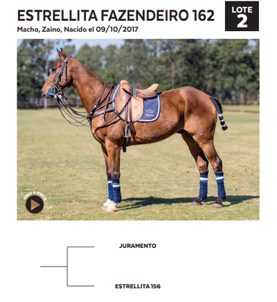 Lote LOTE 2