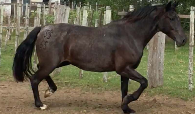 Lote Guamirim La Invernada