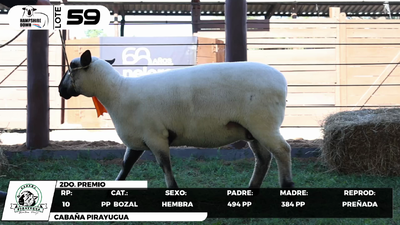 Lote LOTE 59- BOZAL