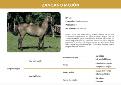 Lote Zángano Mojón (RP 625)