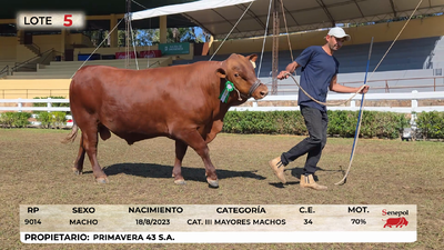 Lote LOTE 5