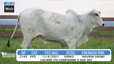 Lote LOTE 25