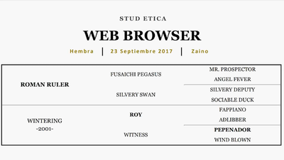 Lote WEB BROWSER (ROMAN RULER - WINTERING)