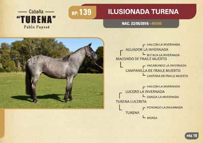 Lote RP. 139 - ILUSIONADA TURENA - TURENA
