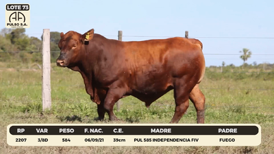 Lote LOTE 73