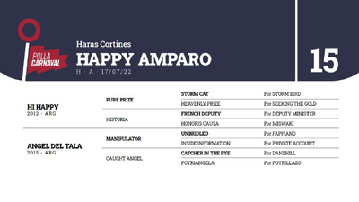 Lote HAPPY AMPARO