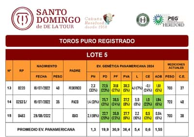 Lote TOROS PR (LOTES) - ( Incluye S/ )