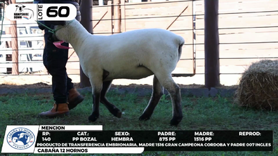 Lote LOTE 60- BOZAL