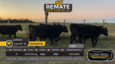 Lote 8 Terneros en Otra Localidad, Colonia