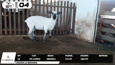 Lote LOTE 4- CAMPO