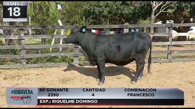 Lote LOTE 18