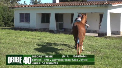 Lote Lote 40