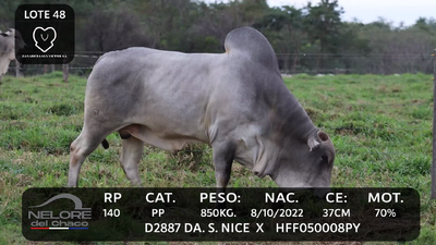 Lote LOTE 48