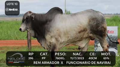 Lote LOTE 10