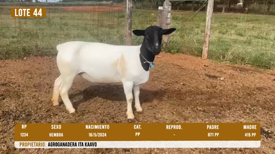 Lote LOTE 44 - DESTACADO