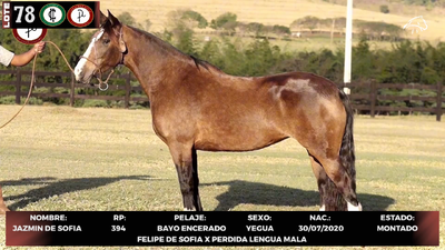 Lote LOTE 78