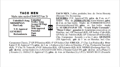 Lote TACO MEN