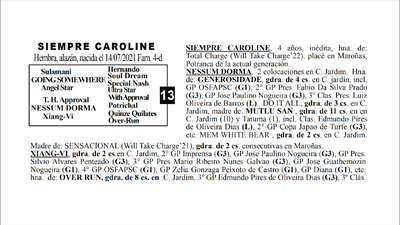 Lote SIEMPRE CAROLINE