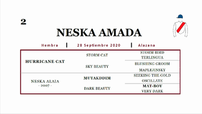 Lote NESKA AMADA (HURRICANE CAT - NESKA ALAIA)