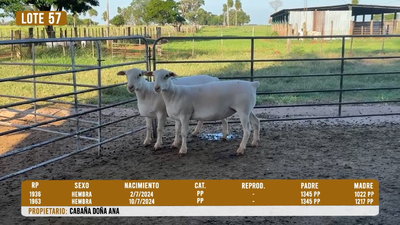 Lote LOTE 57- DESTACADO