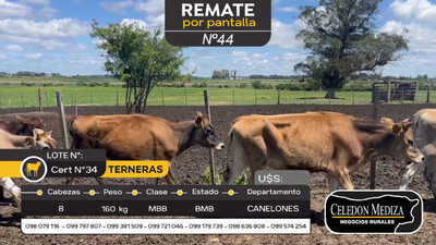 Lote 8 Terneras en Santa Lucía del Este, Canelones