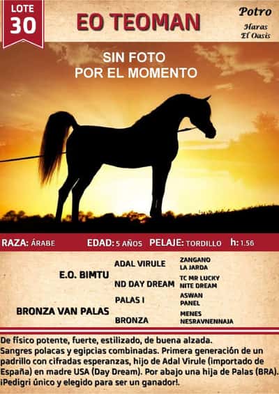 Lote EO TEOMAN