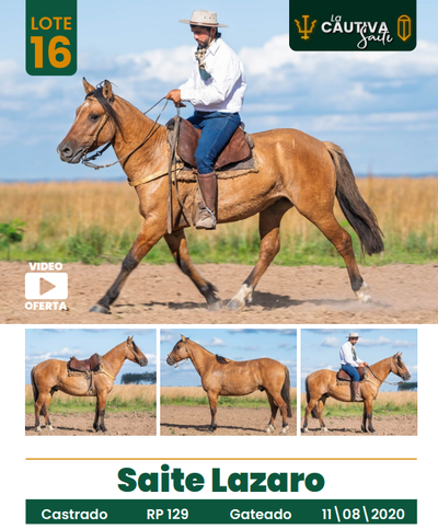 Lote LOTE 16