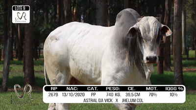 Lote LOTE 9