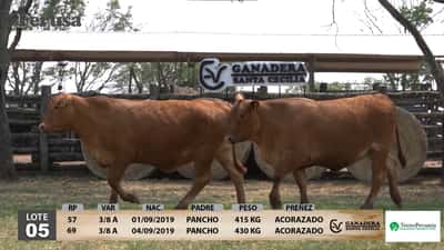 Lote Ganadera Santa Cecilia - Lote 5