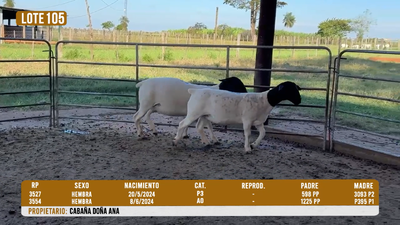 Lote LOTE 105