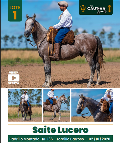 Lote LOTE 1
