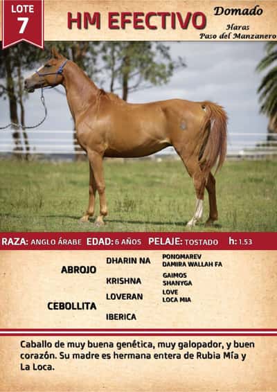 Lote HM EEFCTIVO