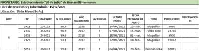 Lote Lote 6