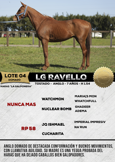 Lote LG RAVELLO