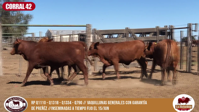 Lote CORRAL 42