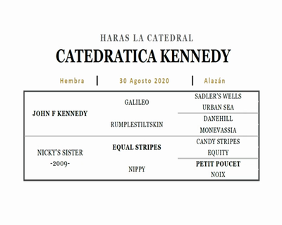 Lote CATEDRATICA KENNEDY (JOHN F KENNEDY - NICKY'S SISTER)