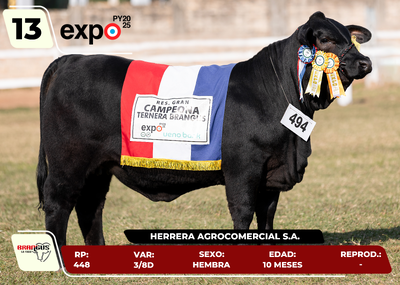 Lote LOTE 13 - SALE A VENTA EL 50%