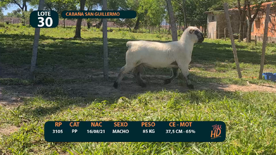 Lote LOTE 30