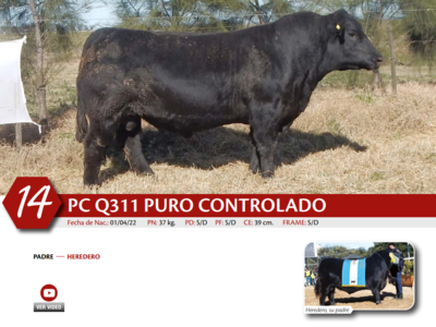 Lote MACHO PC