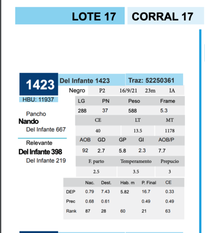 Lote Corral 17