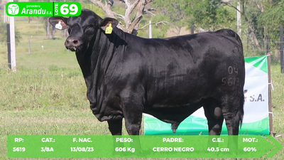 Lote LOTE 69