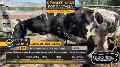 Lote 5 Vacas Preñadas Holando en Estanzuela, Colonia